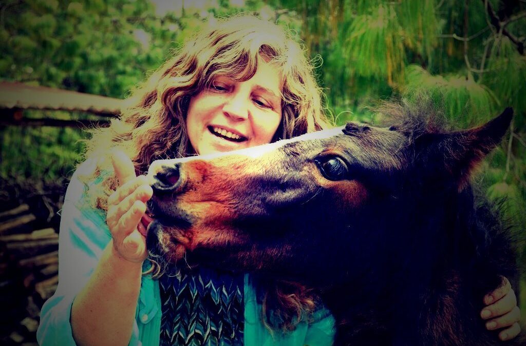 Starting the Journey